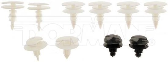 DORMAN NYLON TRIM PANEL CLIPS - 45319