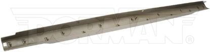 DORMAN TAILGATE MOLDING ASSEMBLY - 925613
