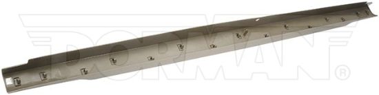 DORMAN TAILGATE MOLDING ASSEMBLY - 925613