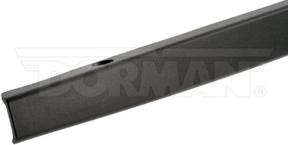 DORMAN TAILGATE MOLDING - 925626