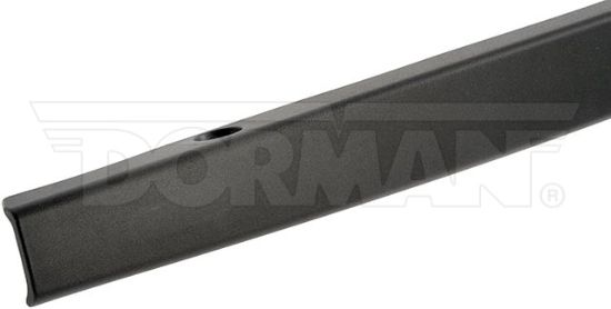 DORMAN TAILGATE MOLDING - 925626