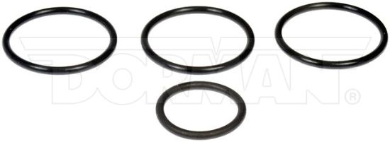 DORMAN RAD HOSE O-RING KIT - 926536