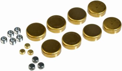 DORMAN EXP PLUG - 567001