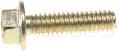 DORMAN CAP SCRWS 1/4-20X1 - 960010