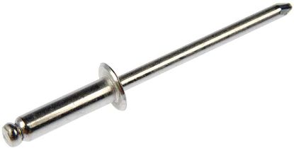 DORMAN RIVET 1/8 ASSORTMENT - 961010