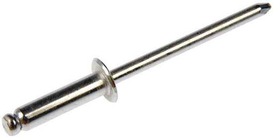 DORMAN RIVET 1/8 ASSORTMENT - 961010