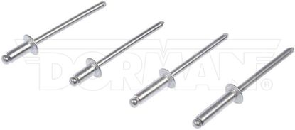 DORMAN RIVET 5/32 ASSORTMENT - 961025