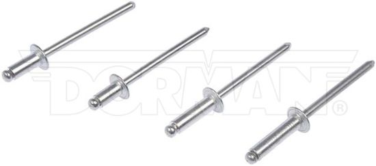 DORMAN RIVET 5/32 ASSORTMENT - 961025