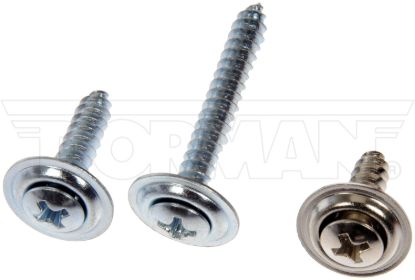 DORMAN TRIM SCREW ASSORT - 961225D