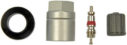 DORMAN TPMS VALVE CORE KIT - 609114