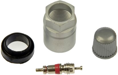 DORMAN TPMS VALVE CORE KIT - 609116