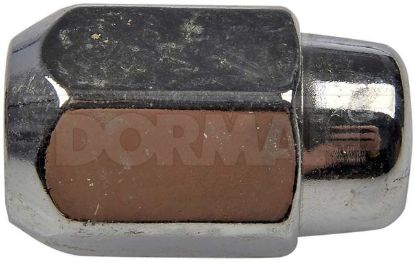 DORMAN WHLNUT ACORN 2PC M141. - 611185
