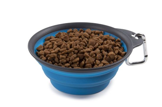 DEXAS 1 CUP COLLAPSIBLE TRAVEL CUP PROBLU - PW20043221