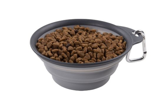 DEXAS 1 CUP COLLAPSIBLE TRAVEL CUP LIGHT - PW20043242