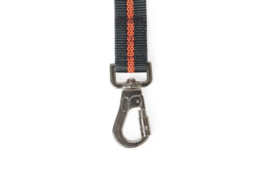 DEXAS OFF-LEASH COLLAR - LARGE - PWC0304322