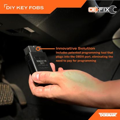 DORMAN KEYLESS ENTRY REMOTE 6 BUTTON - 99365