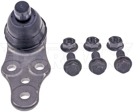 DORMAN BALL JOINT - BJ55025XL
