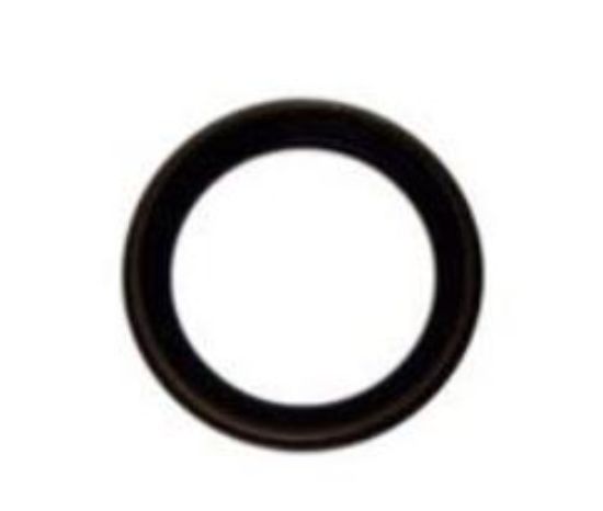 DEXTER AXLE DEXTER GREASE SEAL - 01001900