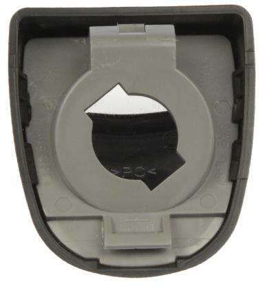 DORMAN LICENSE PLATE LENS - 68168