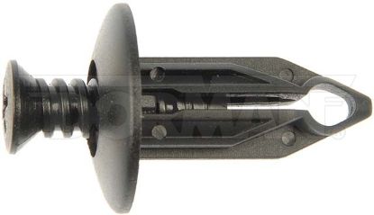 DORMAN NYLON SCREW RIVET - 700853