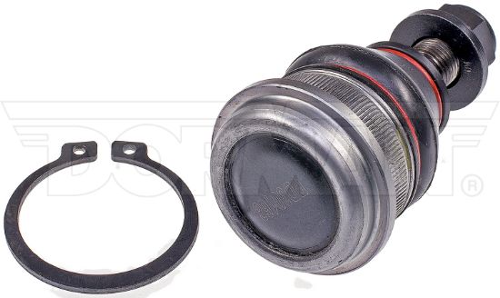 DORMAN BALL JOINT - BJ60025XL