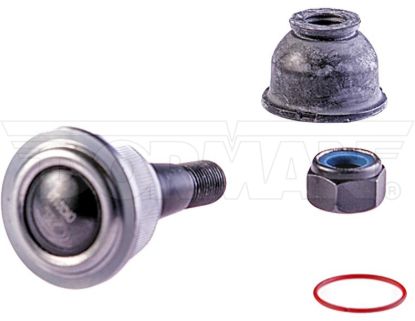 DORMAN BALL JOINT - BJ81206