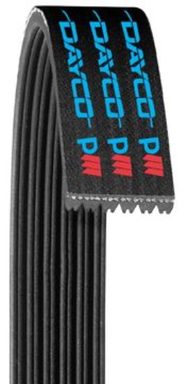 DAYCO POLYRIB BELT - 5060330
