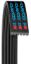 DAYCO POLYRIB BELT - 5060330