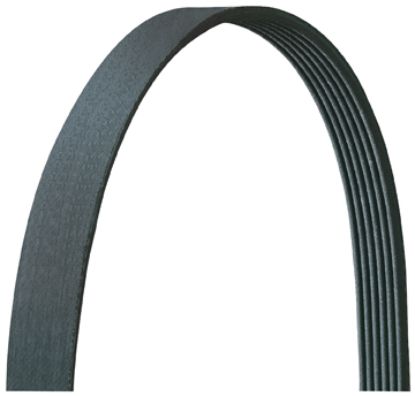 DAYCO V-RIBBED BELT - 5060431DR