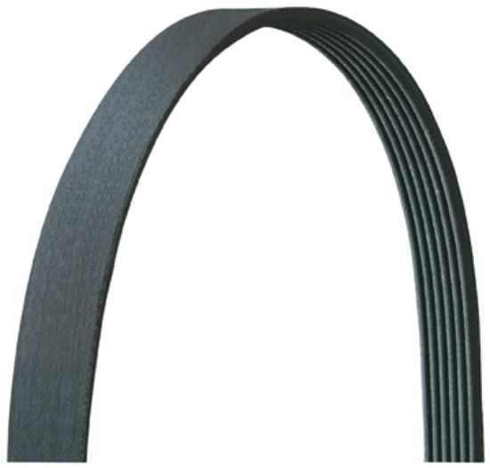 DAYCO V-RIBBED BELT - 5060431DR