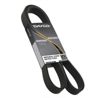 DAYCO POLY RIB BELT DAYCO GOLD LABEL - 5081059