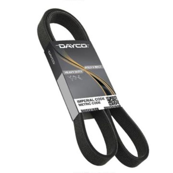 DAYCO POLY RIB BELT DAYCO GOLD LABEL - 5081059