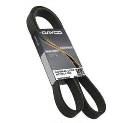 DAYCO POLY COG GOLD LABEL BELT - 5100600