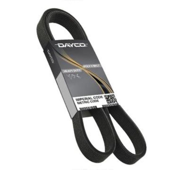 DAYCO POLY COG GOLD LABEL BELT - 5100600