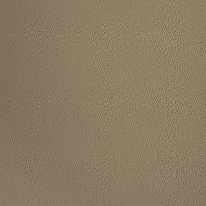 DICOR CORP 9'6' X 21' DIFLEX II TPO -TAN - DFII95T21