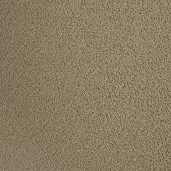 DICOR CORP 9'6' X 21' DIFLEX II TPO -TAN - DFII95T21