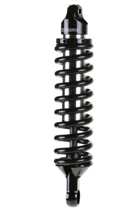 FABTECH 2.5DLSS C/O N/R F150 2' - FTS22200