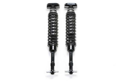 FABTECH 2.5DLSS C/O N/R 15F150 2WD 4' - FTS22263