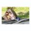 FAULKNER MAT SUMMER WAVES 8X16 BLACK - 46258