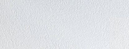 GENESIS PROD PEBBLE WHITE 100' CEILING KIT - 569957