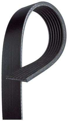 GATES CORP V-RIBBED BELT - K071013