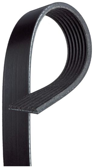 GATES CORP V-RIBBED BELT - K071013