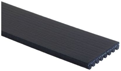 GATES CORP V-RIBBED BELT - K081223