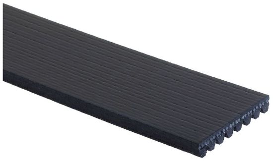 GATES CORP V-RIBBED BELT - K081223