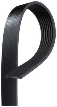 GATES CORP V-RIBBED BELT - K081264