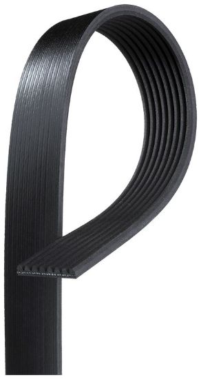 GATES CORP V-RIBBED BELT - K081264