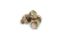 MR GASKET ELECTRIC FUELPUMP IMPORT - 42S