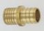 ELKHART SUPP 3/4' PEX X 3/4' PB BRASS - 41165