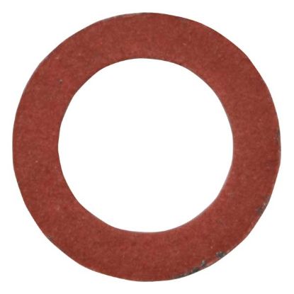 EMP WASHER  DRAIN - 1002686