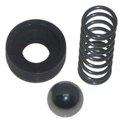 EMP CHECK VALVE KIT - 2102382